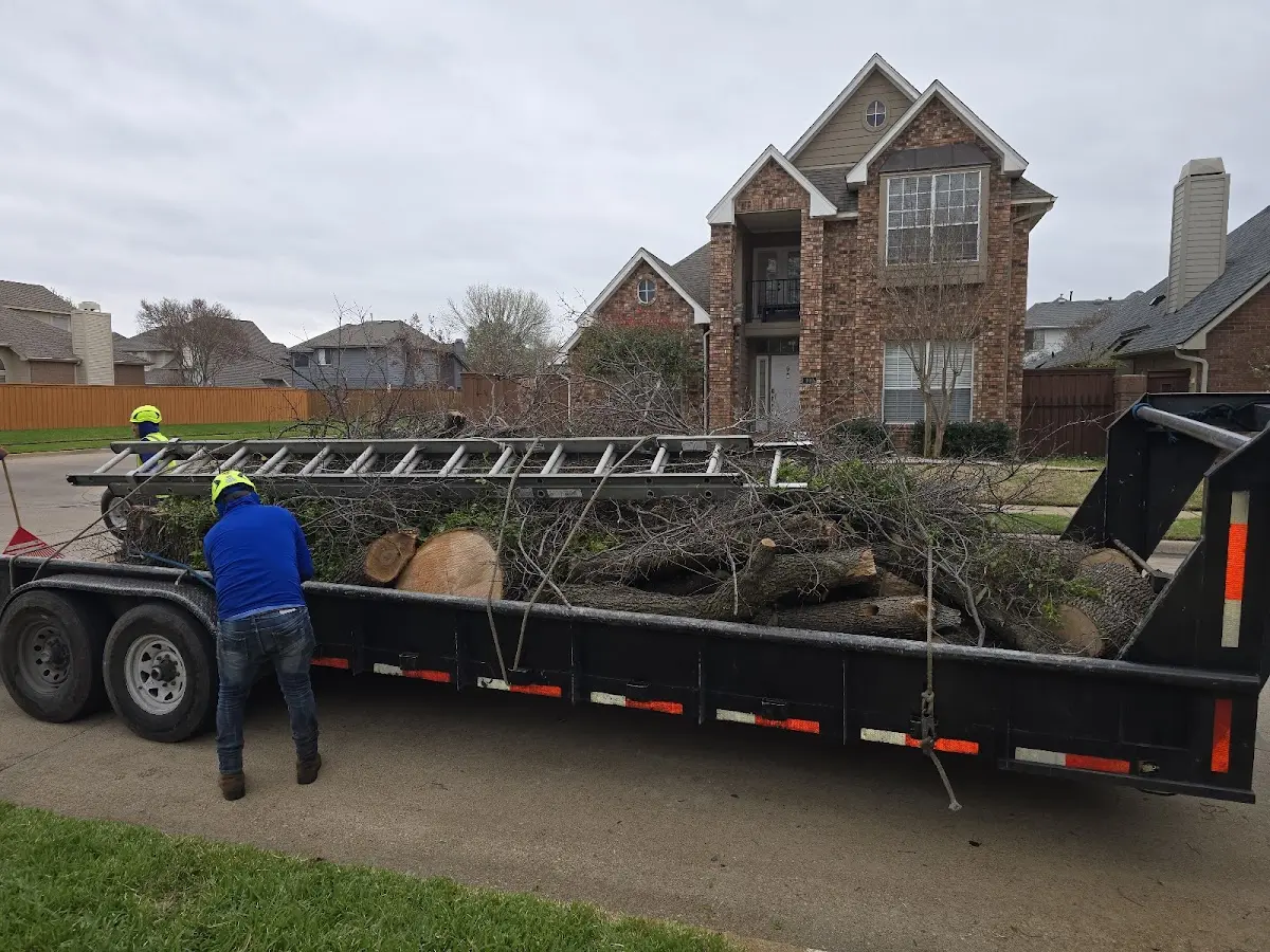Expert Tree Pest Control with proper safety equipment in Poquoson